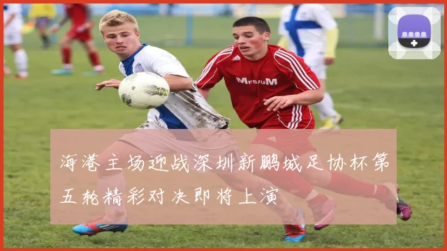 海港主场迎战深圳新鹏城足协杯第五轮精彩对决即将上演